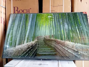 Picture Lover Tcl55