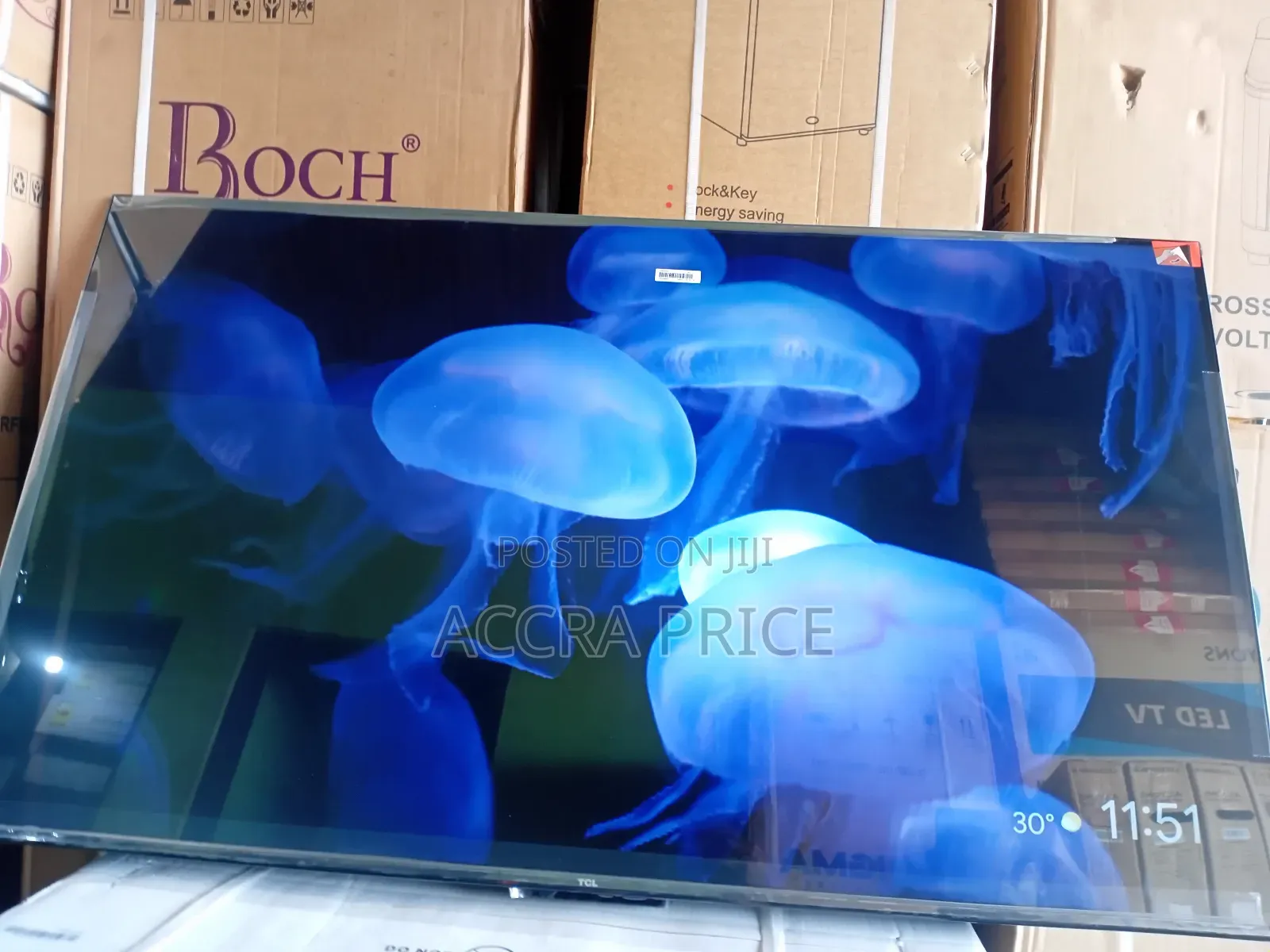 Picture Lover Tcl55