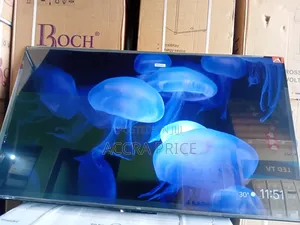 Picture Lover Tcl55