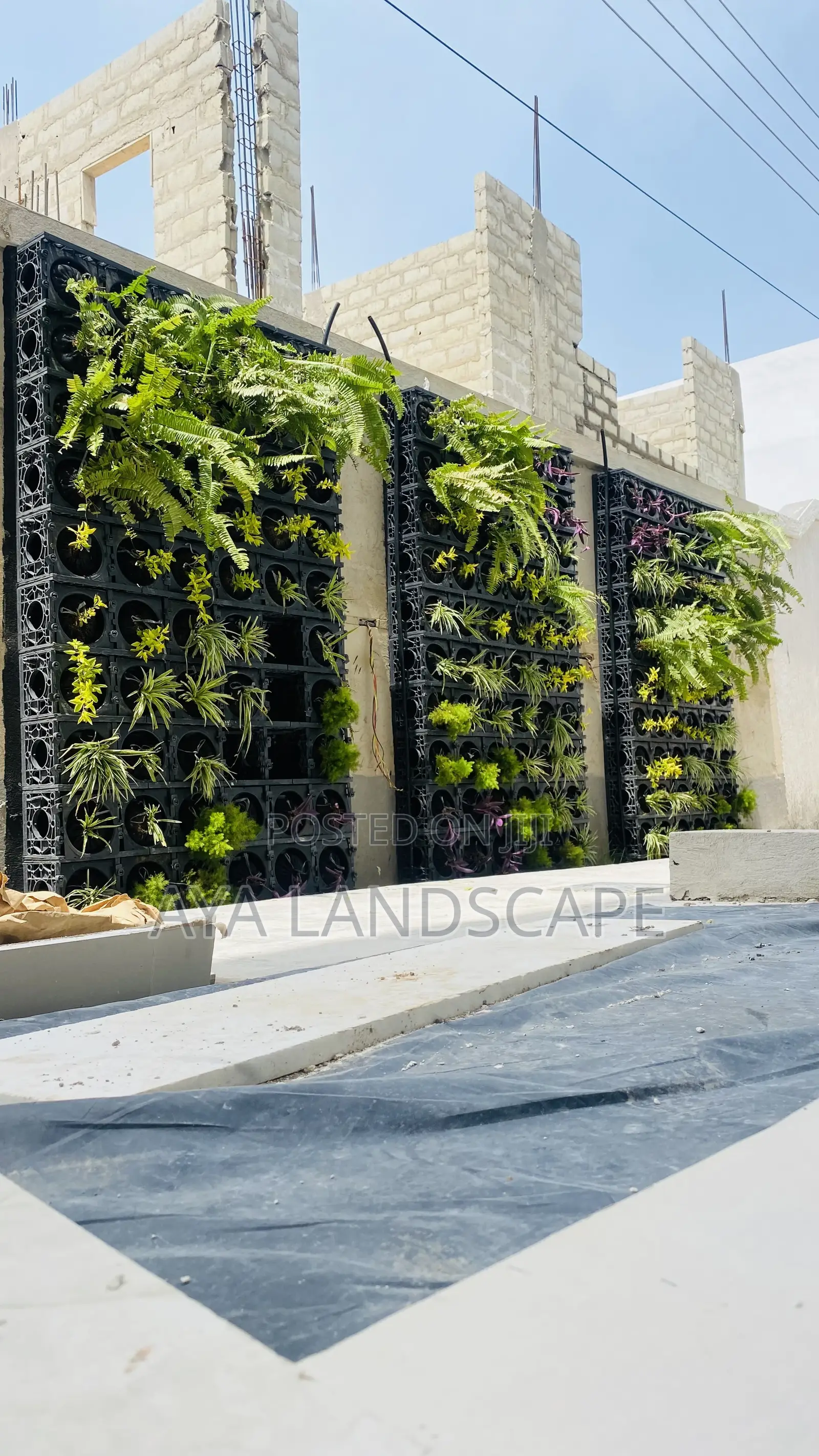 Green Wall/ Vertical Garden
