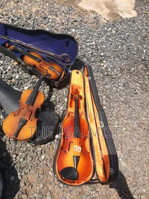 Slightly Used Suzuki Other Professional Brands