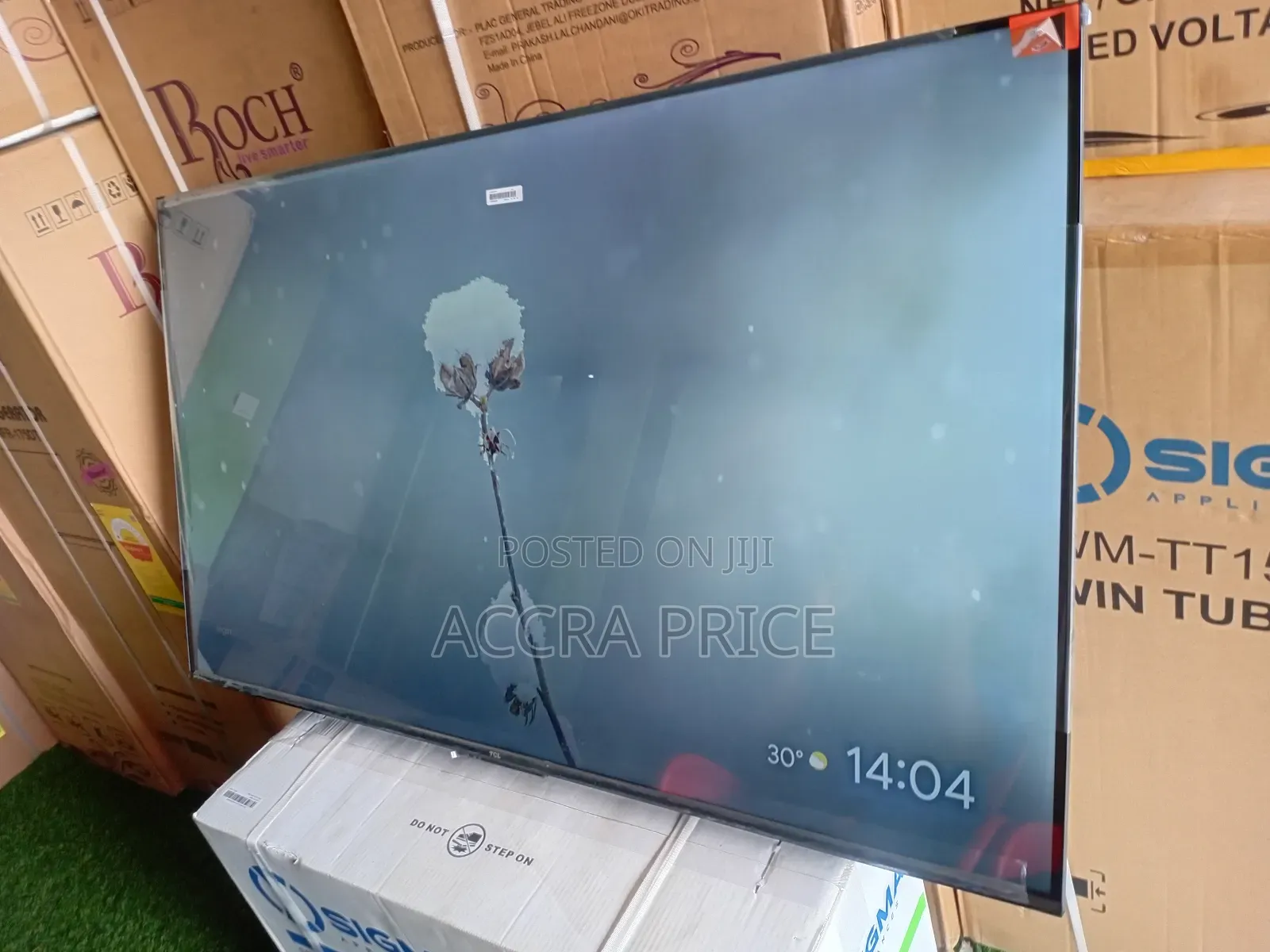 Reality Showcase Tcl55