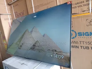 TCL 55” Smart Google Tv – More Than Just a Tv