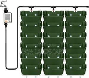 Green Wall/ Vertical Garden