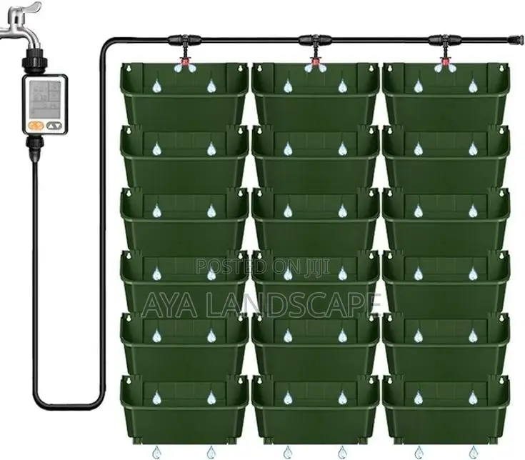 Green Wall/ Vertical Garden
