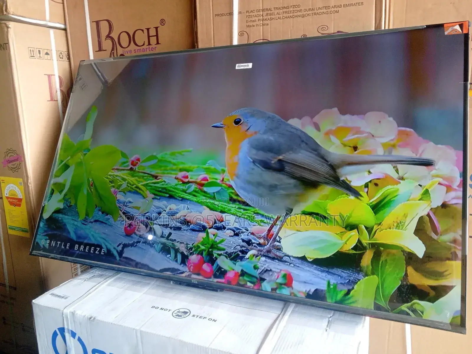 TCL 55 Smart Tv – Smooth Streaming Fast Navigation TCL