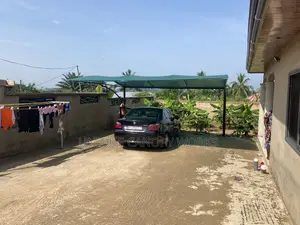 All Green Black Car Tent