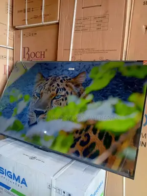 TCL Bring Home the Future With a 55-Inch TCL Smart Tv