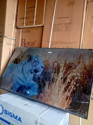 Experience Brilliance on a TCL 55-Inch Smart Display TCL Tv