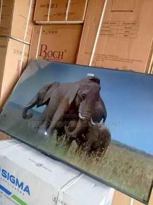 TCL 55-Inch Smart Tv – Smarter Vision for Modern Homes TCL Tv