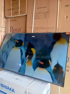 TCL 55-Inch Smart Tv – Redefining Your Entertainment With TCL Tv