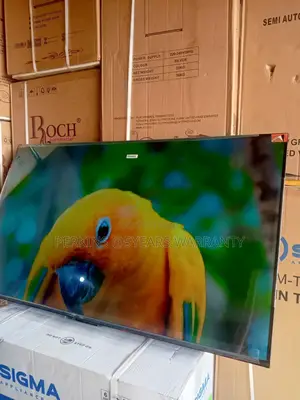 TCL the Best 55-Inch Smart Tv in 2025, TCL 55-Inch Tv