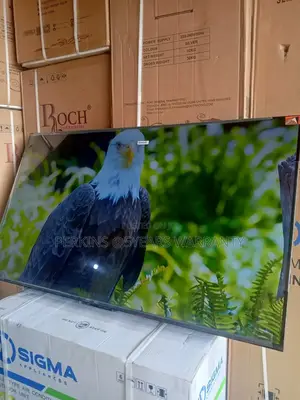 Top-Rated TCL 55" Smart Television for Home Use and Office TCL