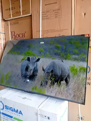 TCL 55-Inch Smart Tv – Great Performance at Great Price With TCL