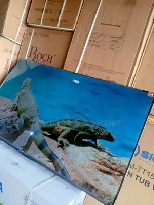 Affordable TCL 55-Inch Smart Tv,55 Qled TCL Tv