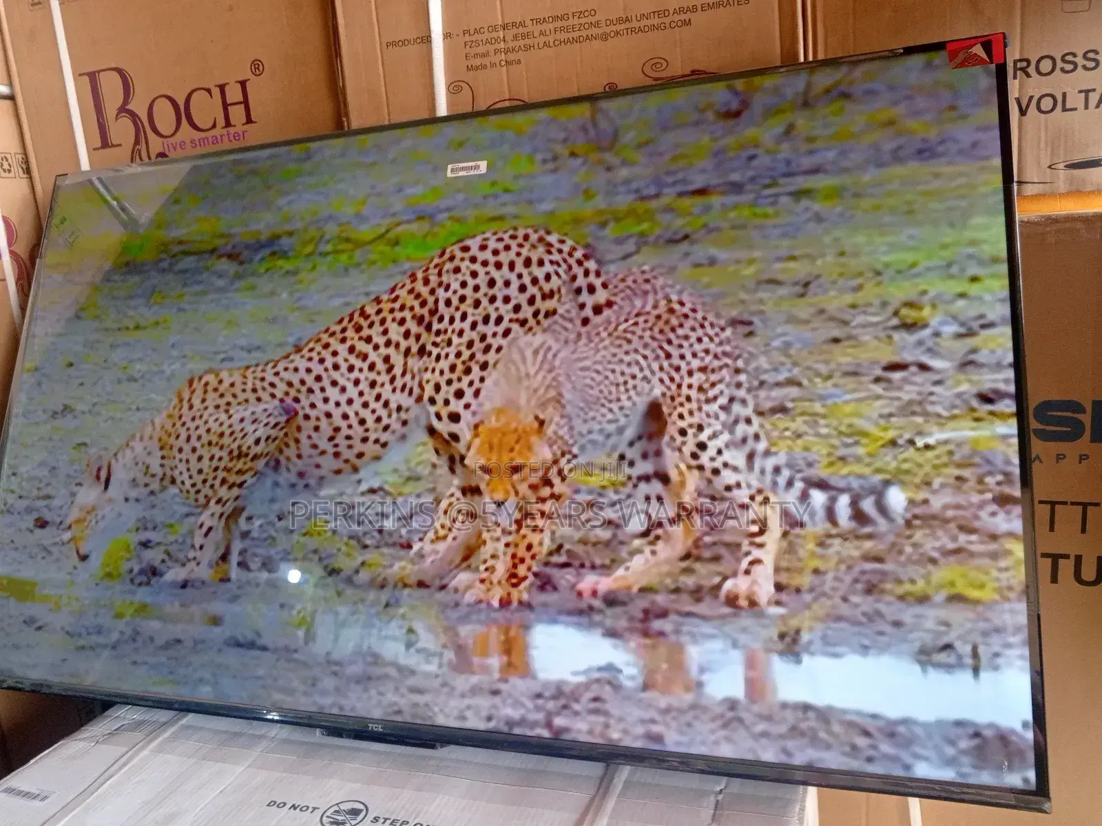 TCL 55" Smart Tv – Designed for Immersive Entertainment and More