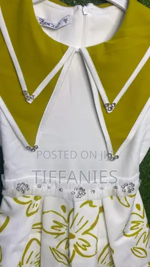 Elegant Dress
