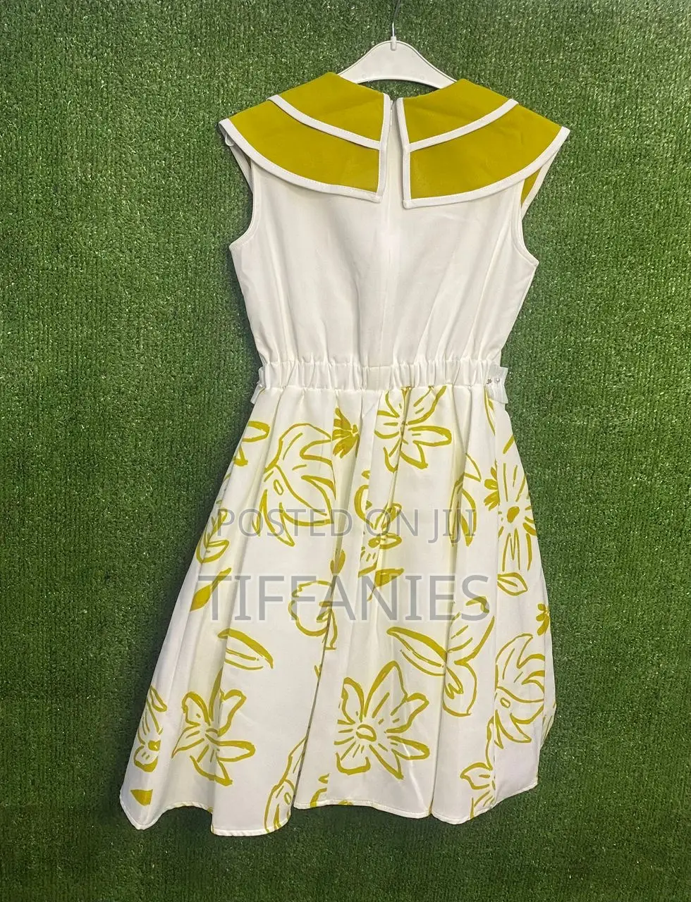 Elegant Dress