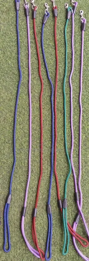 Dog and Cat Leashes