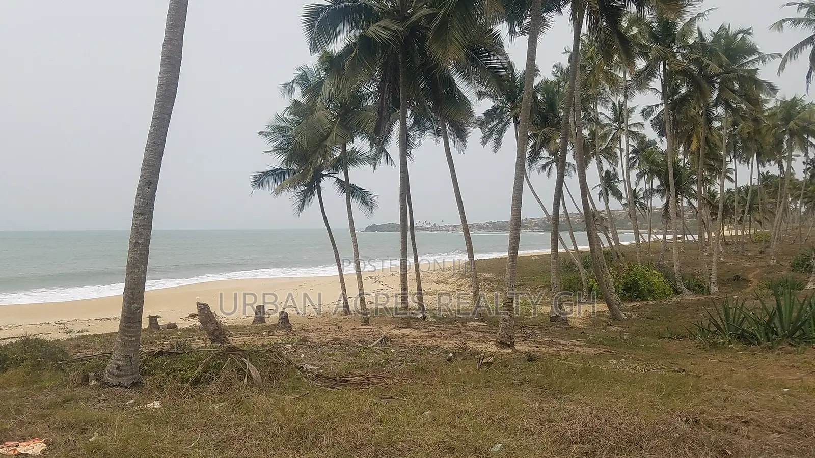 Central Region - Gomoa District_ 105.67 Acres Oceanfront Land