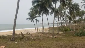 Central Region - Gomoa District_ 105.67 Acres Oceanfront Land