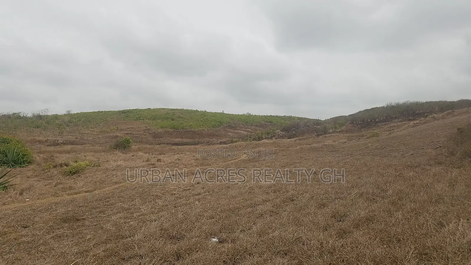 Central Region - Gomoa District_ 105.67 Acres Oceanfront Land