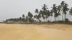 Central Region - Gomoa District_ 105.67 Acres Oceanfront Land