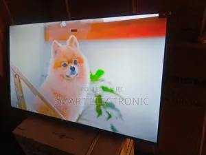 Experience the Best in Home With TCL 55inche Smart Tv for Entertaining
