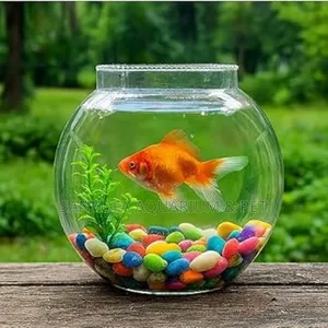 Packaging Glass Bowl With Accessories 1 Fish