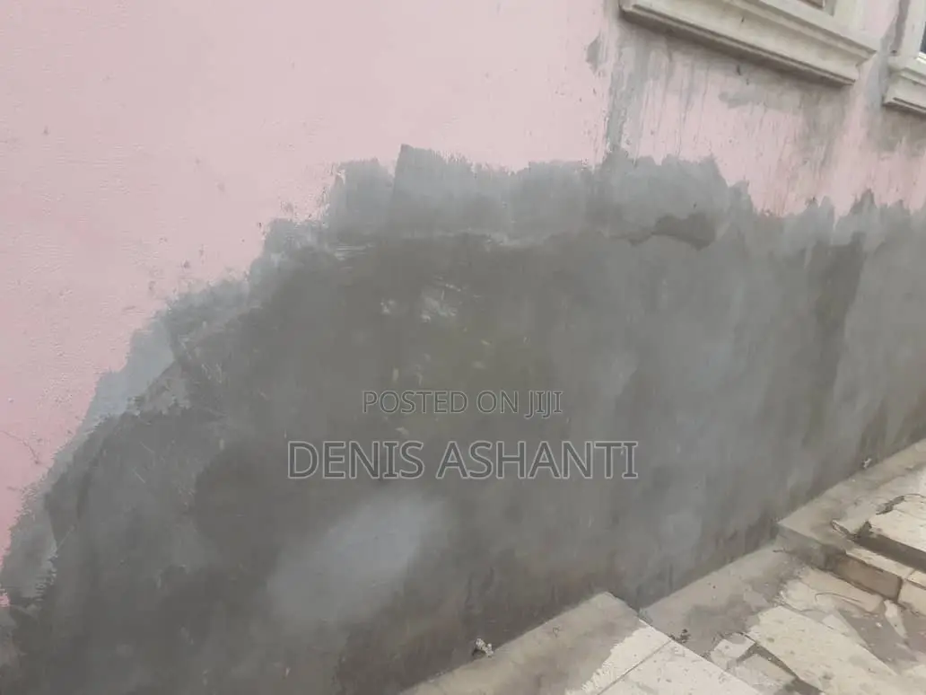 Painting and Rooms Designs , Walls Treatments Against Dampness and Etc