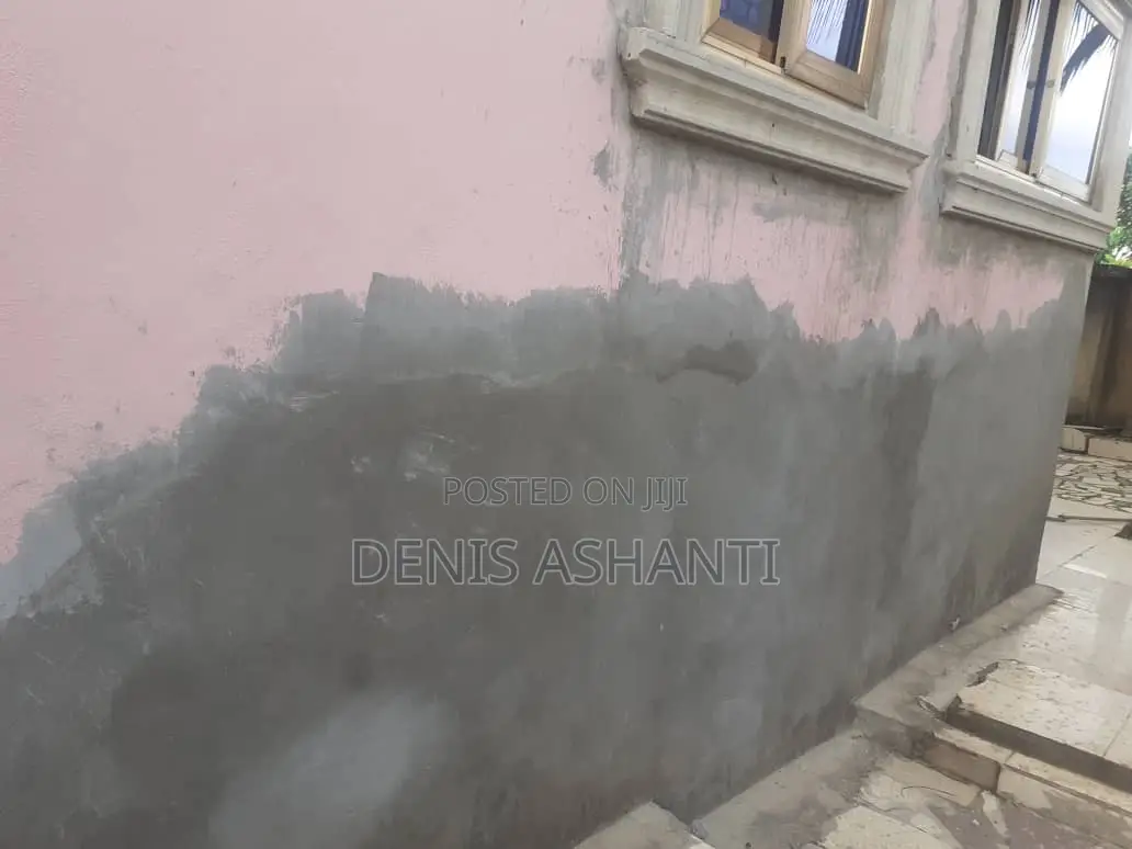 Painting and Rooms Designs , Walls Treatments Against Dampness and Etc