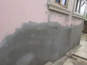 Painting and Rooms Designs , Walls Treatments Against Dampness and Etc