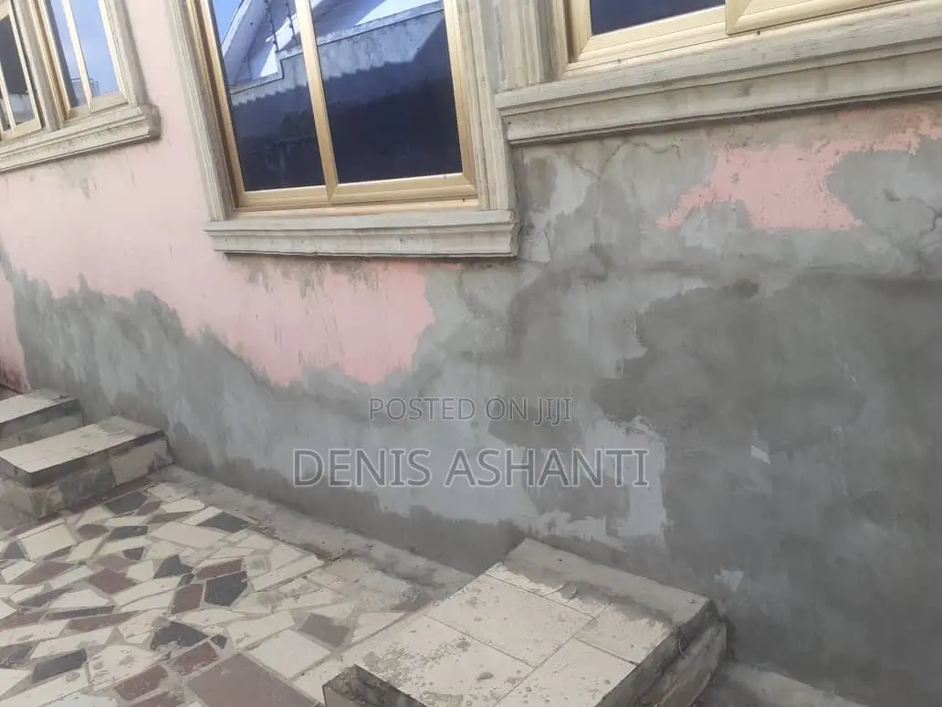Painting and Rooms Designs , Walls Treatments Against Dampness and Etc