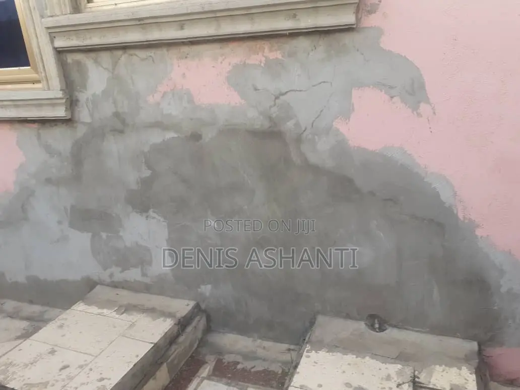 Painting and Rooms Designs , Walls Treatments Against Dampness and Etc