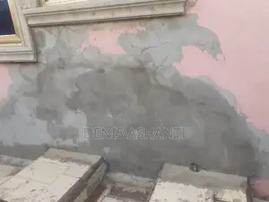Painting and Rooms Designs , Walls Treatments Against Dampness and Etc