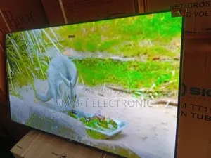 TCL 55inches Smart-Tv Experience a New Dimension of Viewing TCL Tv
