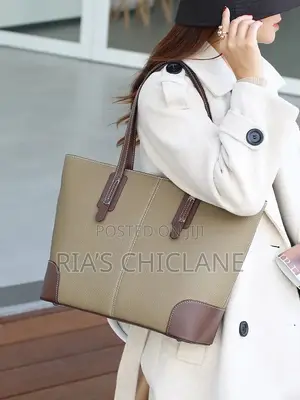 Elegant Ladies Handbag