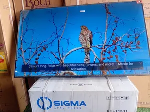 TCL 55inches Smart-Tv Experience Easy Live With TCL Android Tv