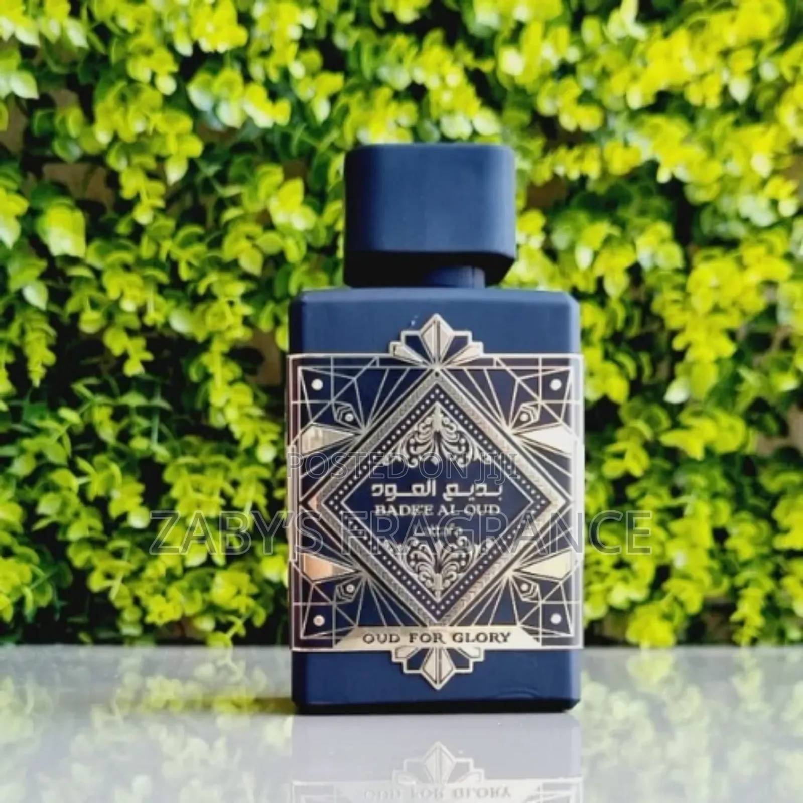 Badie Al Oud (Oud For Glory )