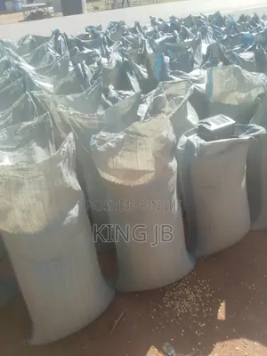 Yellow Maize for Sell