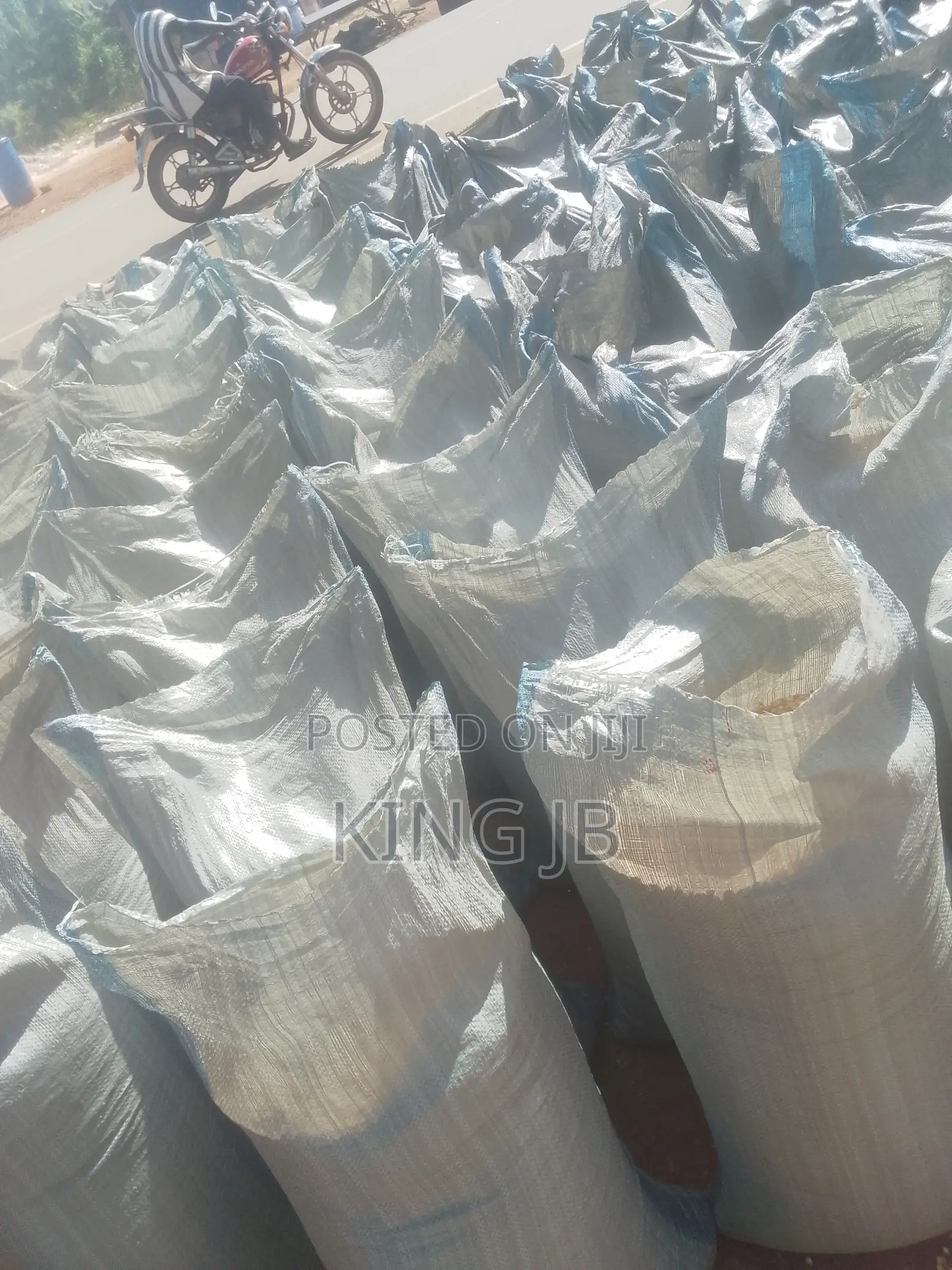 Yellow Maize for Sell