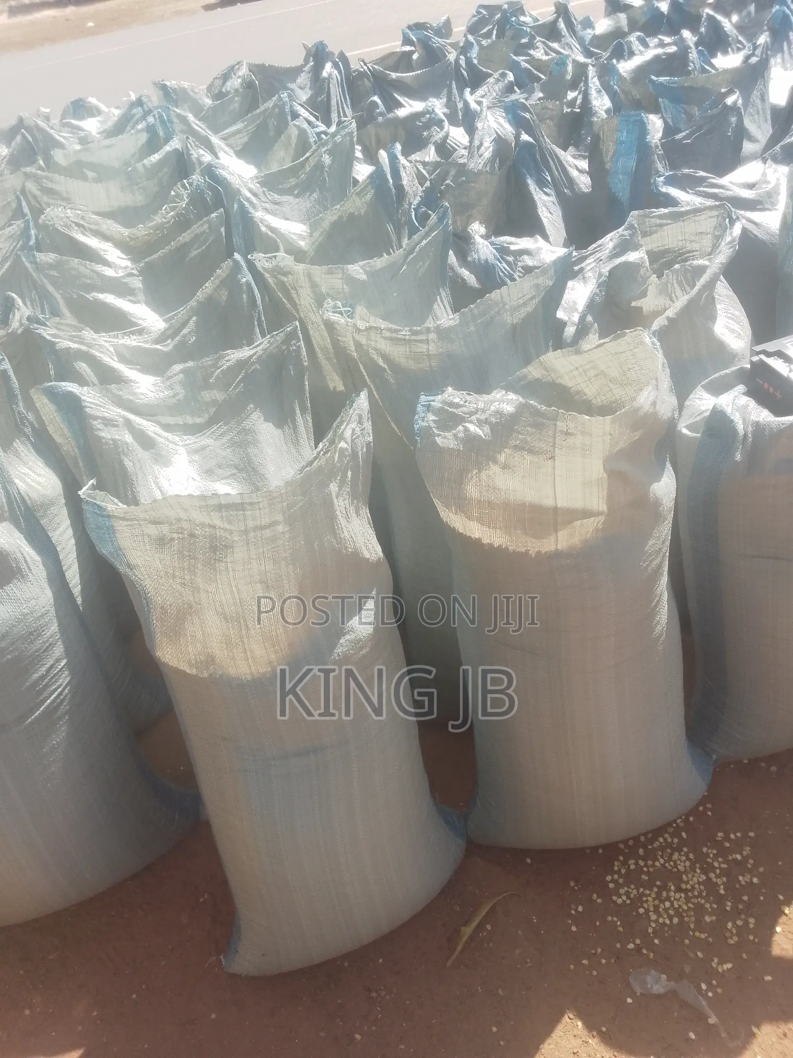 Yellow Maize for Sell