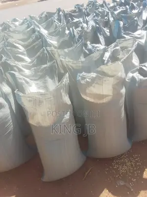Yellow Maize for Sell