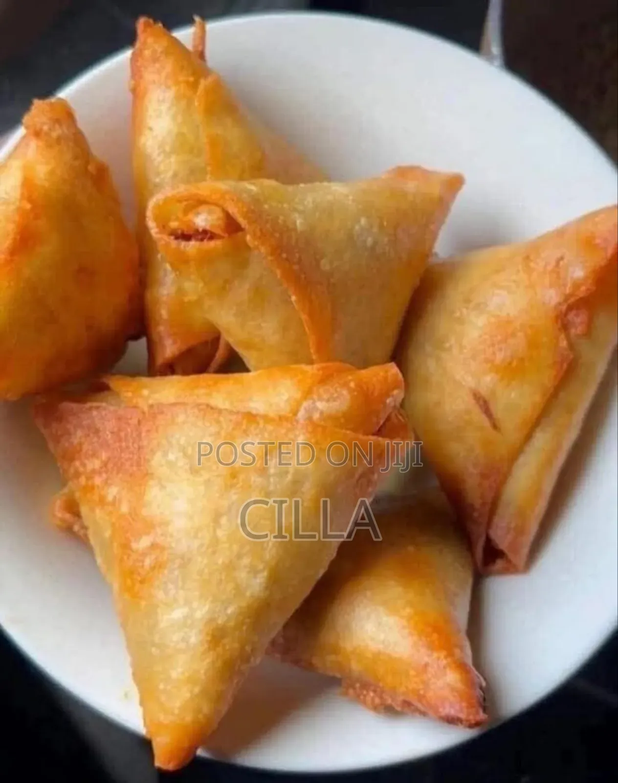 Spring Rolls and Samosas