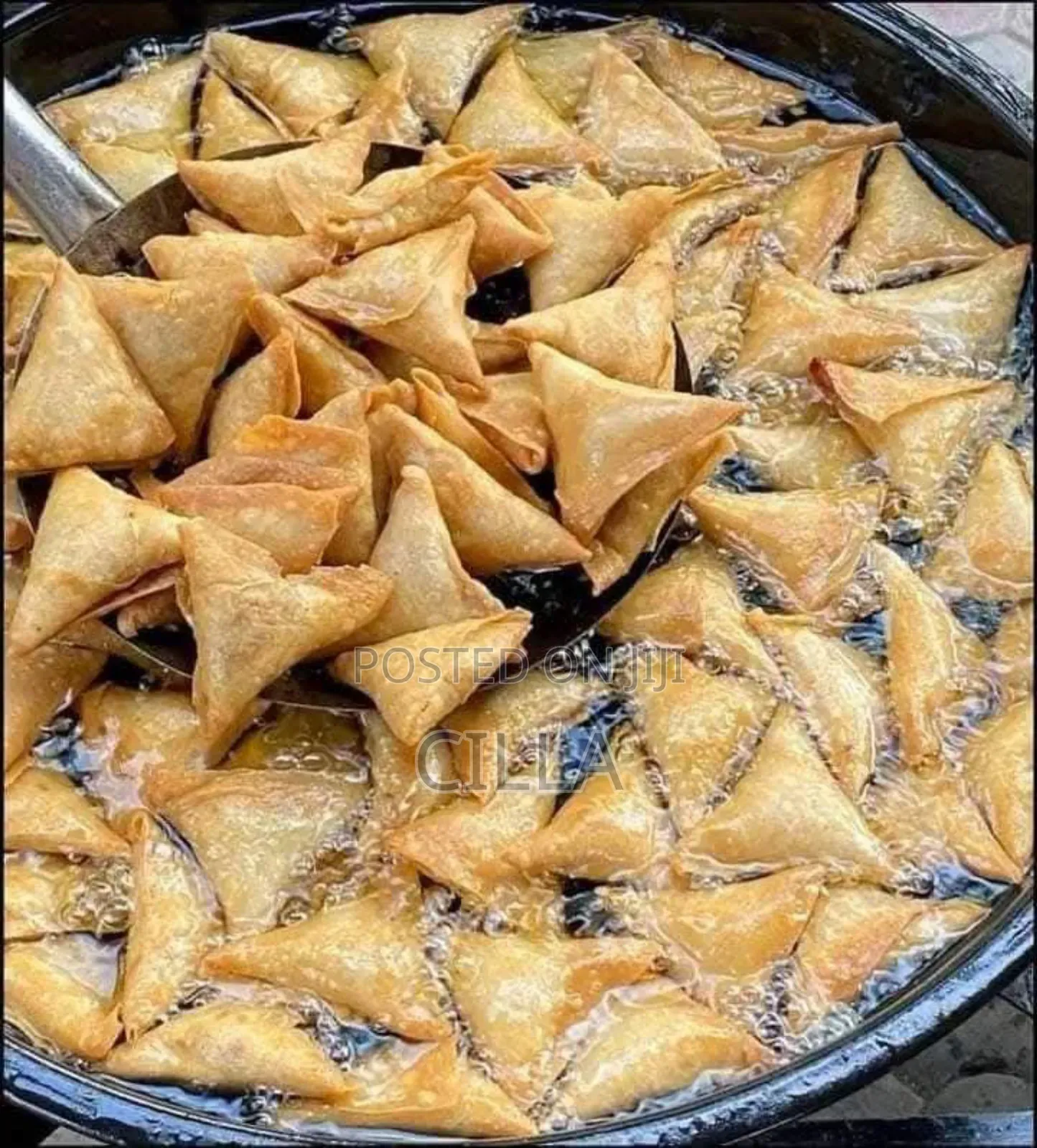 Spring Rolls and Samosas