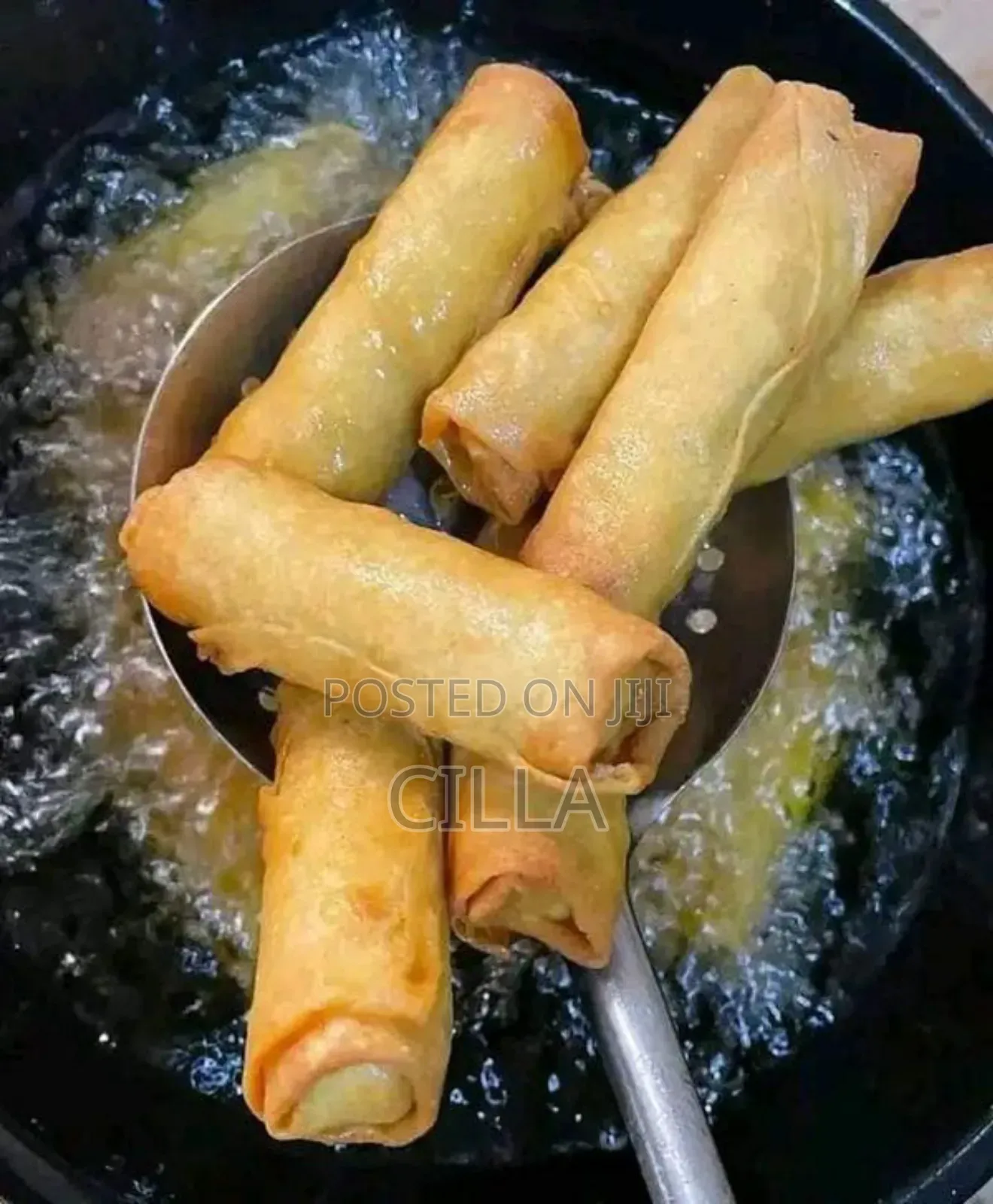 Spring Rolls and Samosas