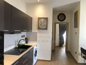 Furnished 2bdrm Apartment in Cantonments,American for rent