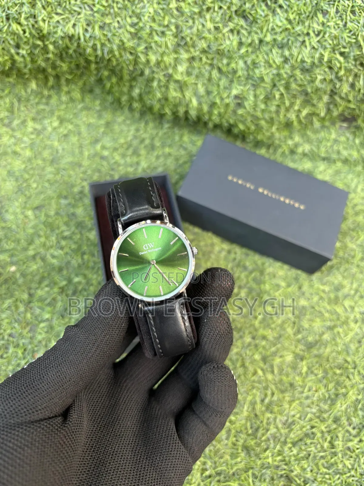 Daniel Wellington Ladies Leather Watch