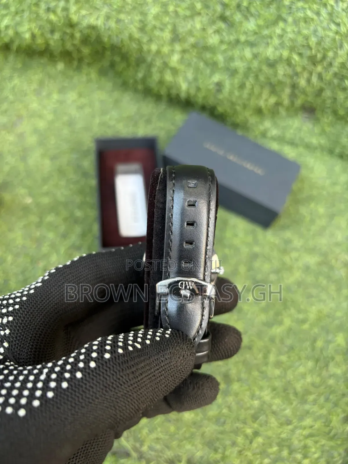 Daniel Wellington Ladies Leather Watch