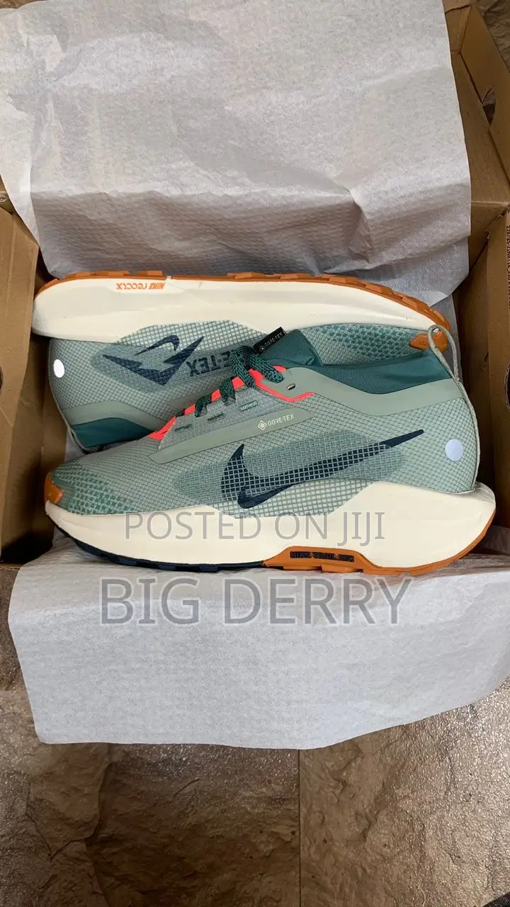 Nike Trail Gortex Runner